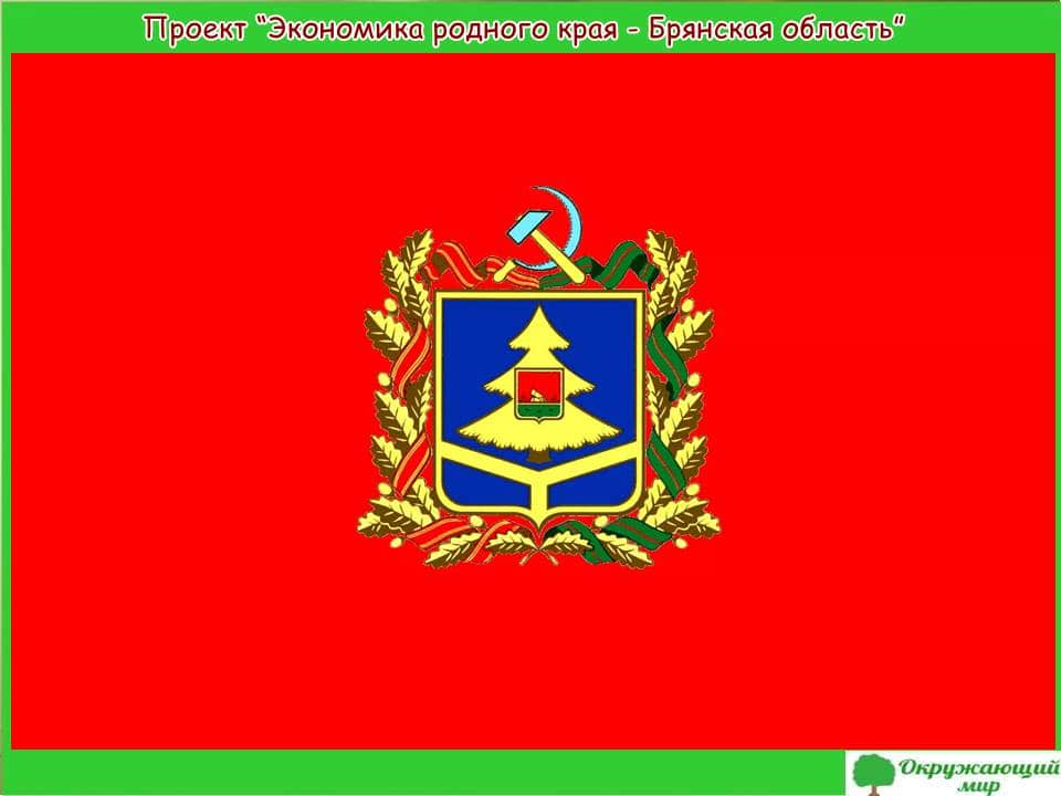 Проект Экономика Брянской области